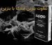 lighter-gasoline-regular-gasoline-difference